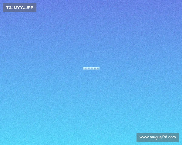 国内足球赛事门票多少钱